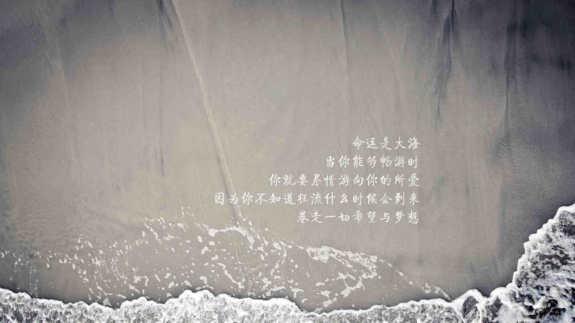 齿轮革命，当哈斯用小人物的齿轮，卡住了雷诺的傲慢机器