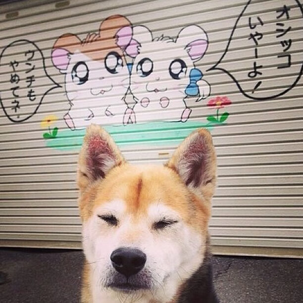 当火箭升空时,哈登就是唯一的燃料