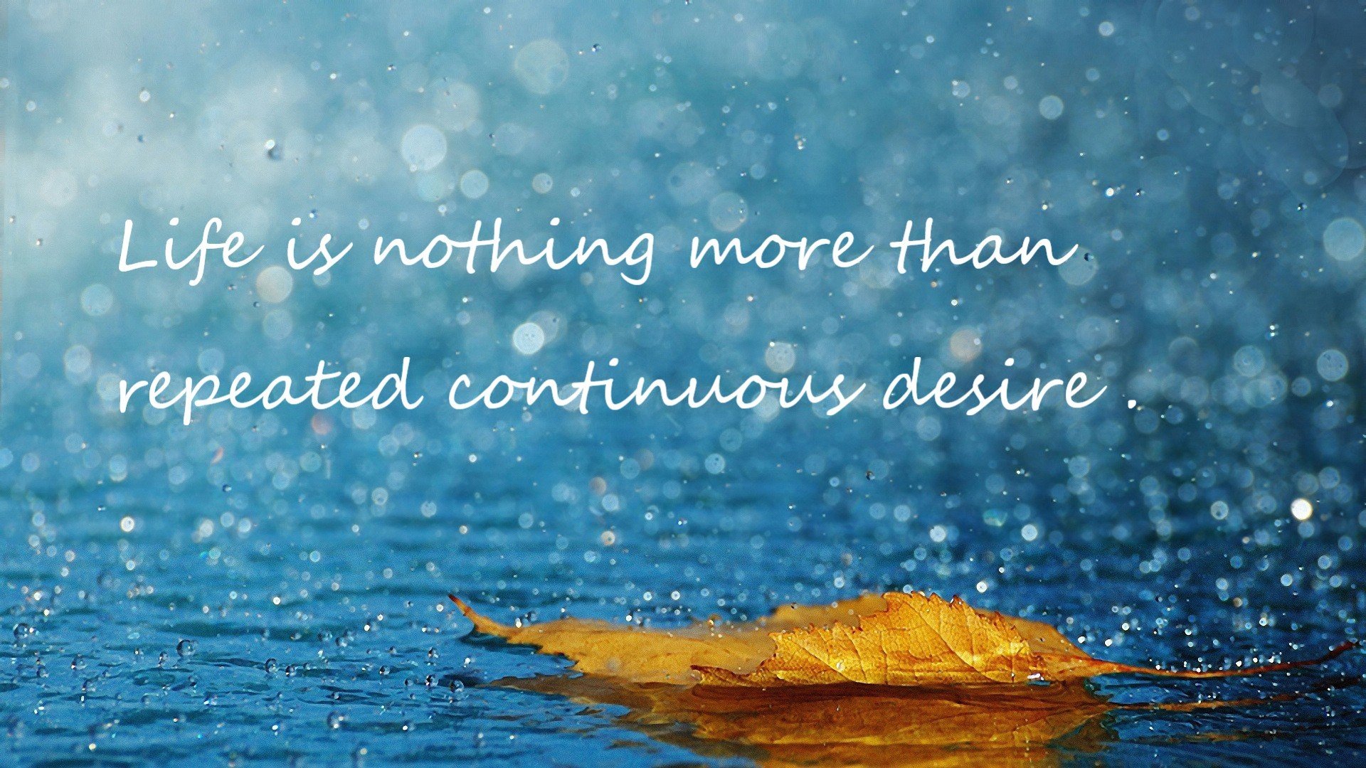 跨界烽火台，当东决焦灼遇上里昂打穿爱尔兰的战术风暴