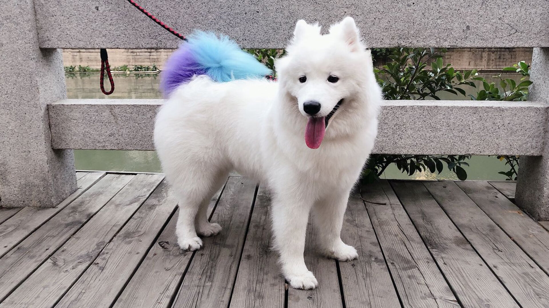 英超争冠暗线，奥地利红牛基因如何左右曼城红军巅峰战