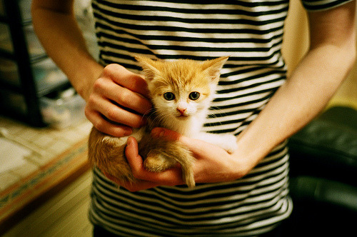 足球风暴终结政治僵局，哈兰德一场比赛踢入金砖，沙特如何强行终结南非犹豫