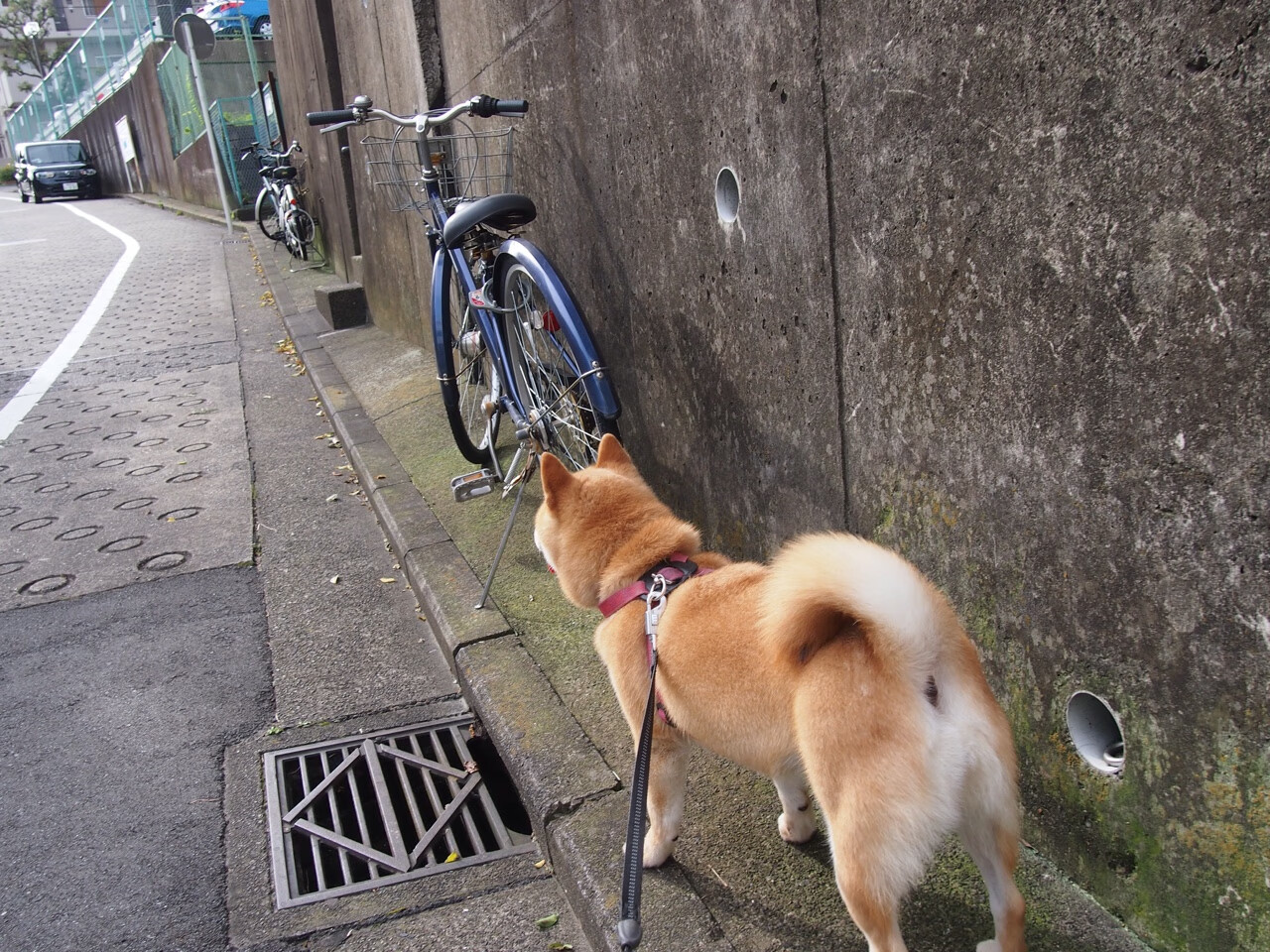 暗流与无声的闪电,当皇马凝视非洲,孙兴慜照亮亚洲足球的夜空
