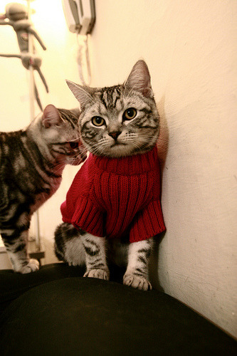 以足球之名，定义全场最佳，阿圭罗的奇迹与黄色潜水艇的航迹