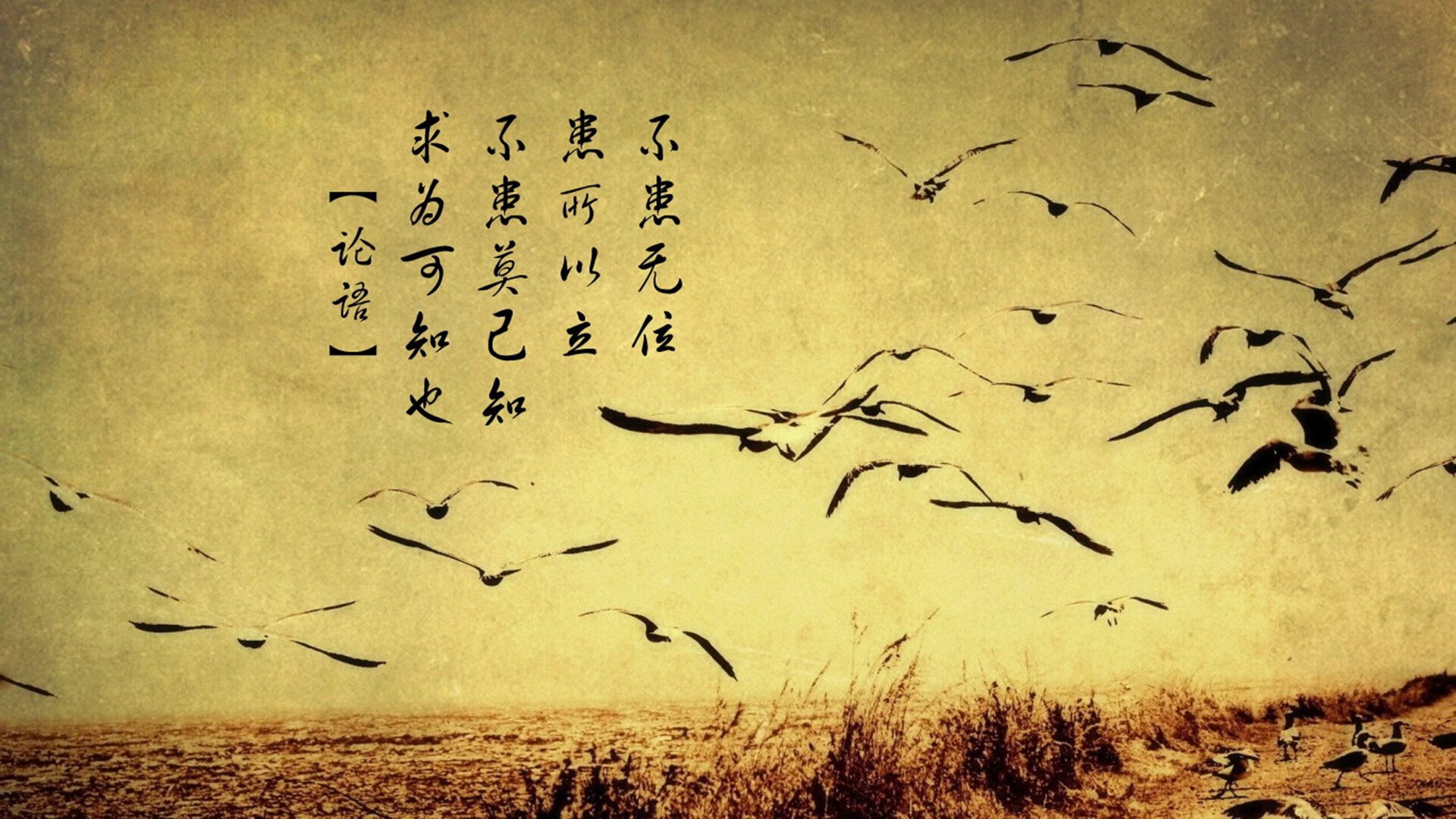 翡冷翠的吟游诗人与非洲雄狮的战争,当孔德在绿茵画布上高能输出