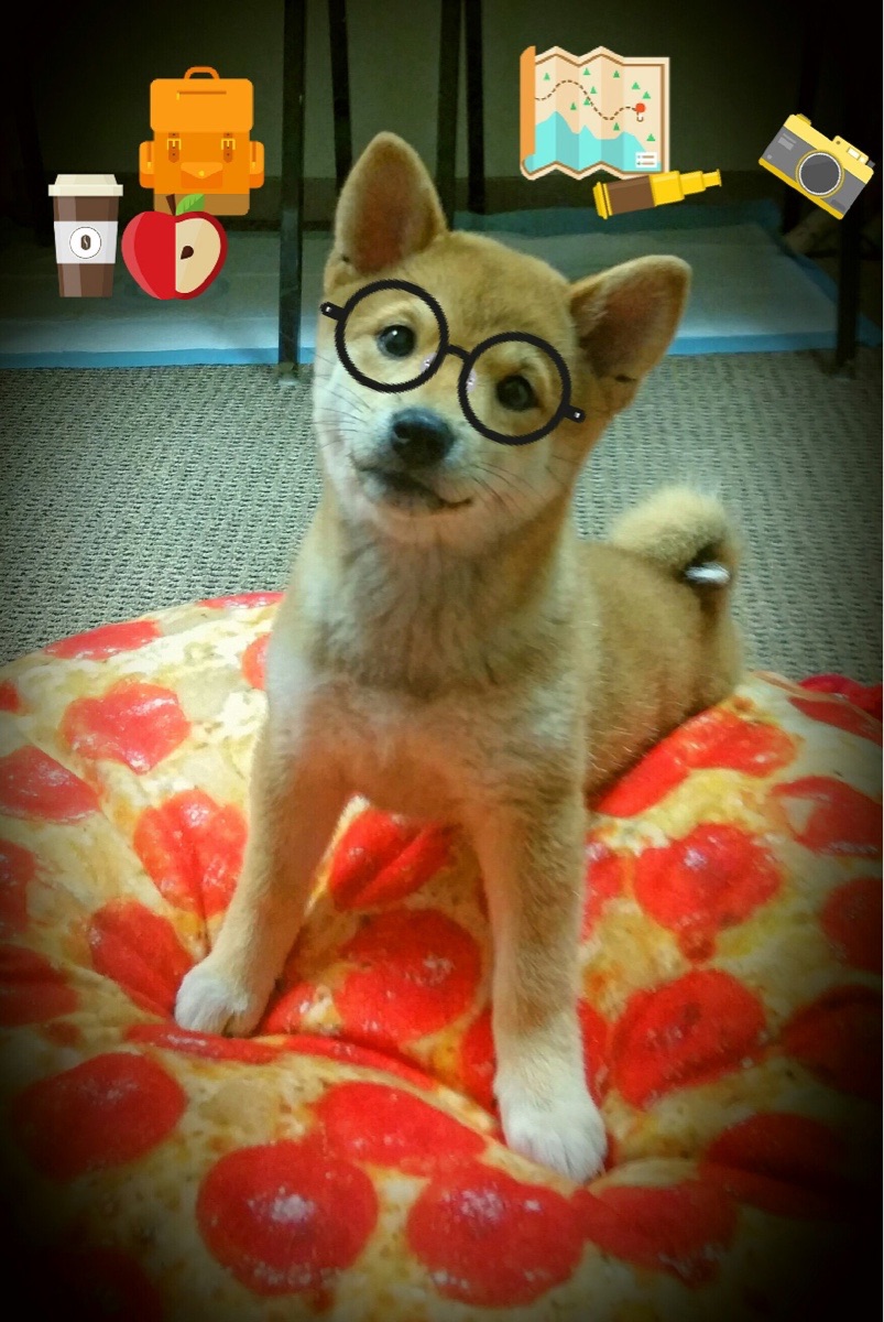 爱游戏入口-手术刀般的对决，武切维奇如何以一己之力切开辽宁铁血防线