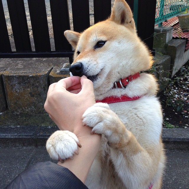 跨洋抢七次元破壁，步行者如何用现代篮球公式拆解广东王朝