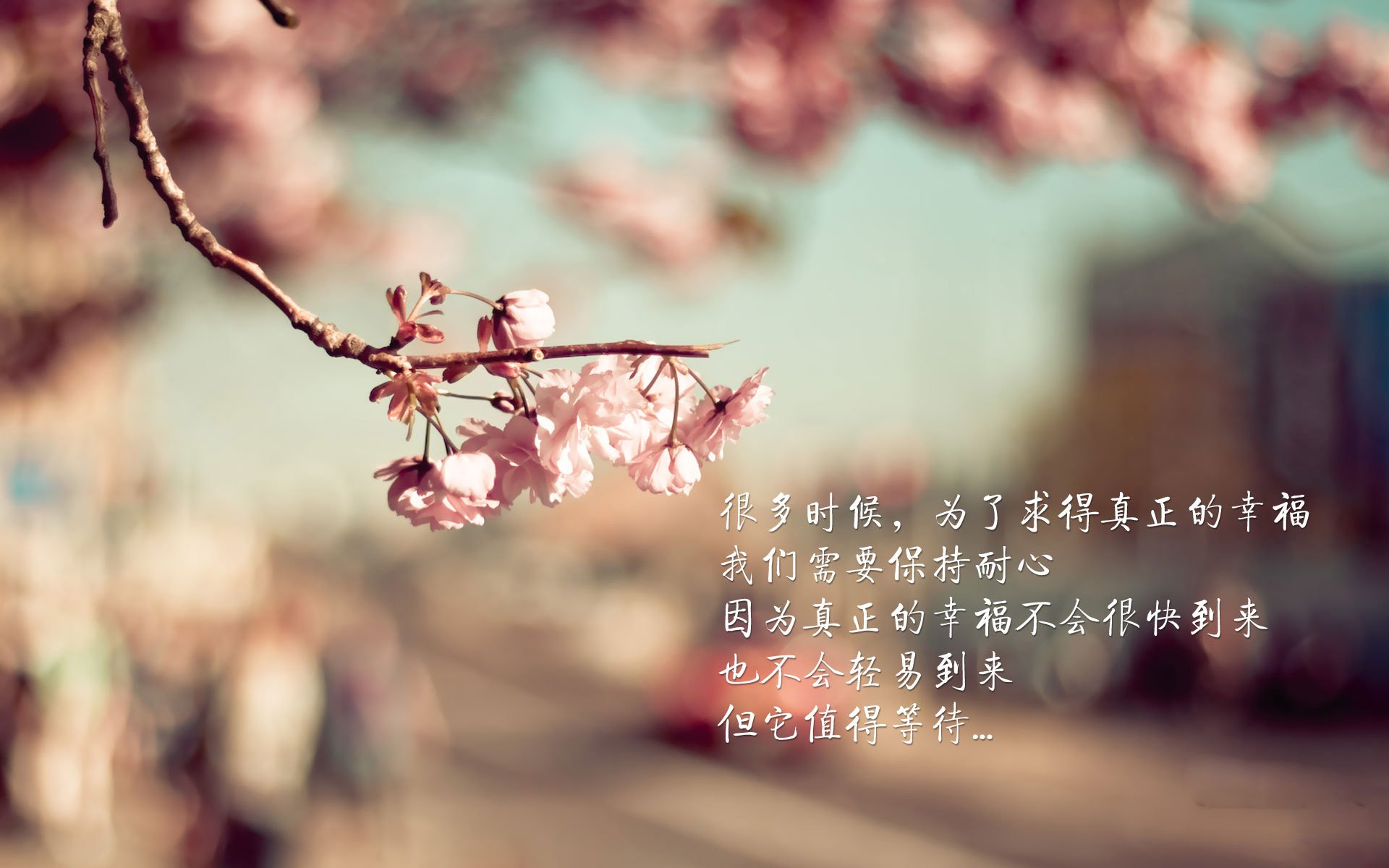 平行宇宙的篮球盛宴，吉林队横扫湖人，范弗利特欧冠半决赛一战成名