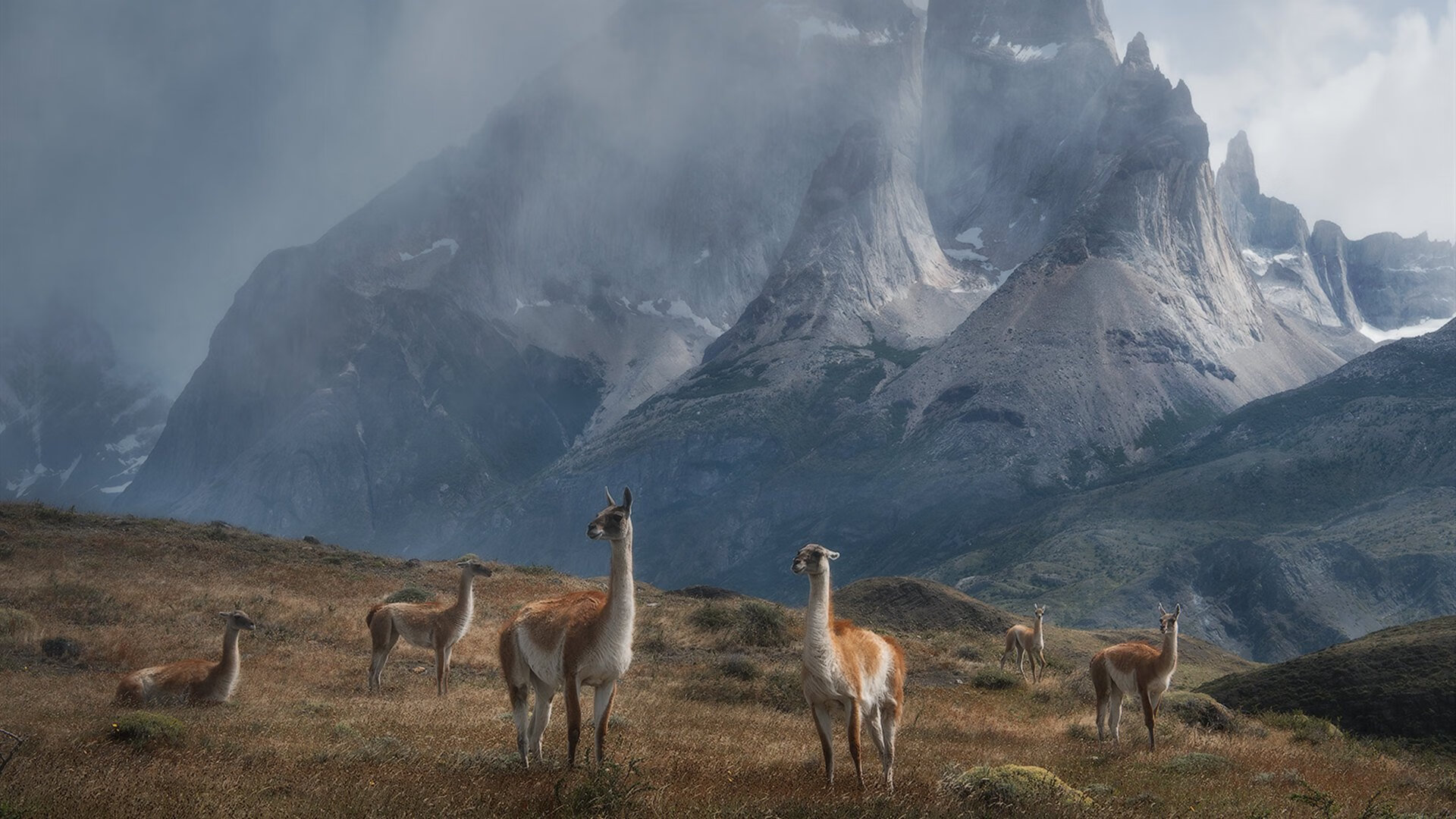 逆行者东契奇，当达拉斯星光照亮风城，一场非典型胜负手如何颠覆比赛逻辑？