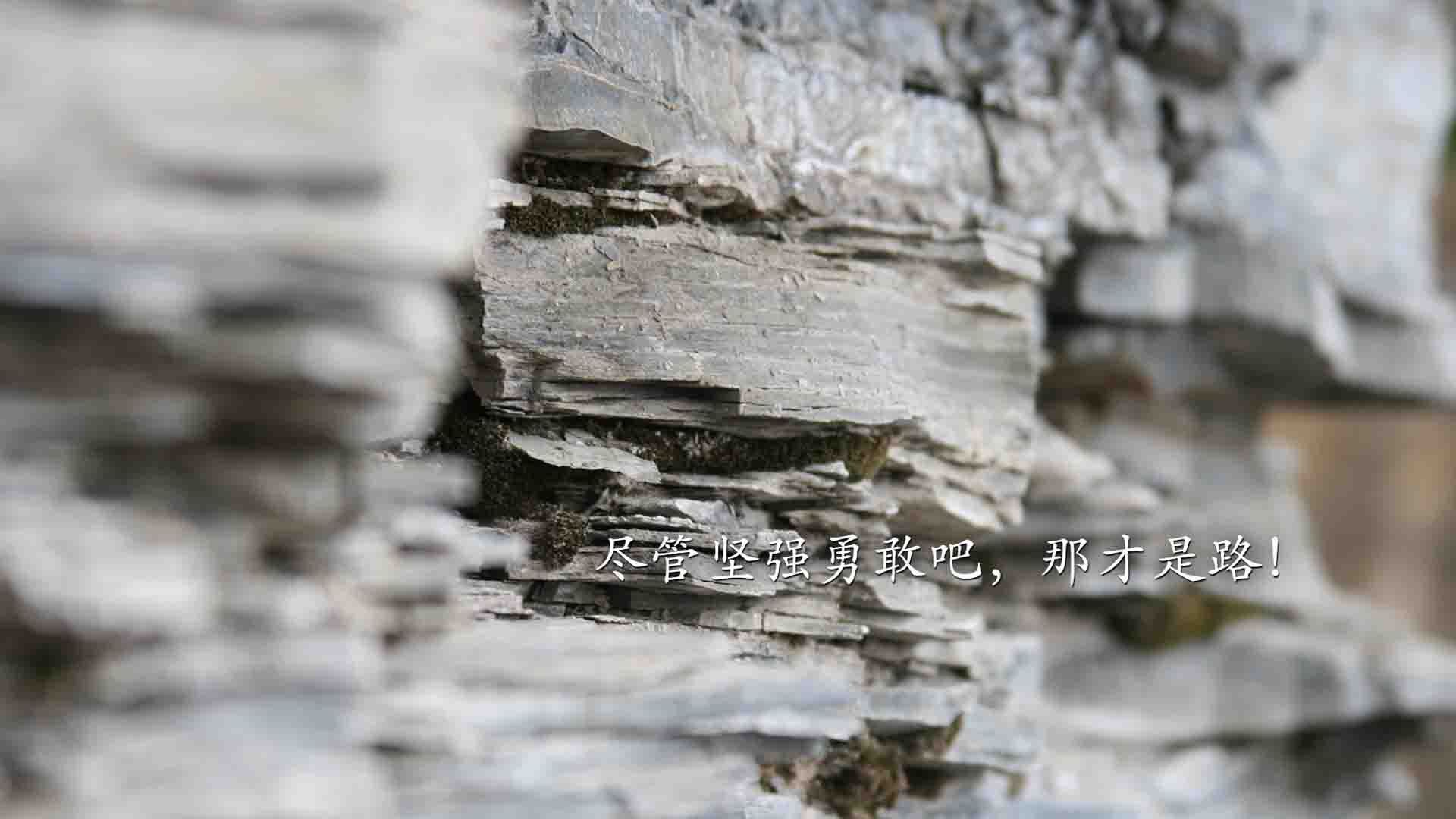 意志的淬火，2026世界杯，乌拉圭铁骑踏碎波斯铁墙，阿方索·戴维斯一剑封喉
