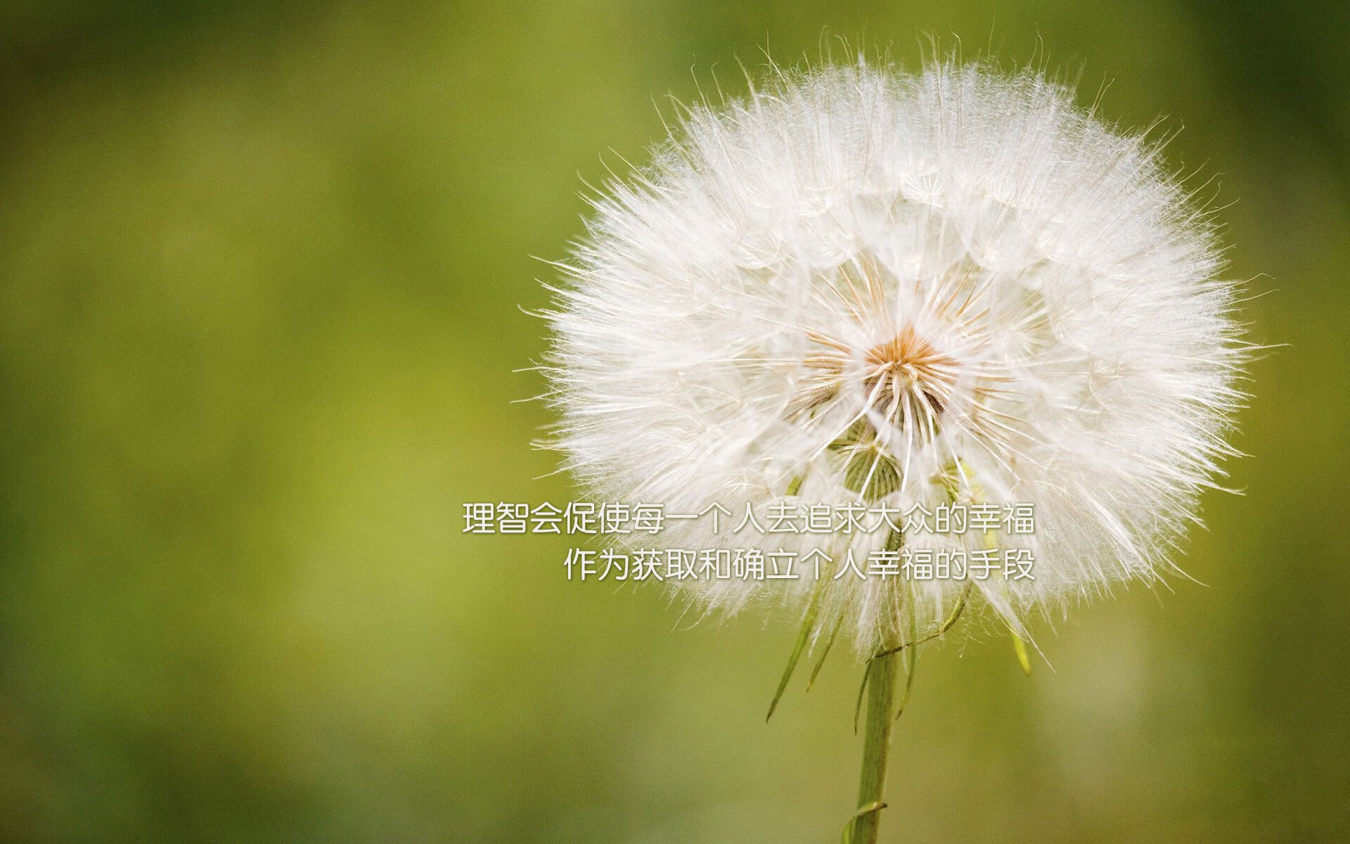 孤星闪耀贝洛奥里藏特,登贝莱独舞破局,喀麦隆复仇伊朗改写B组命运