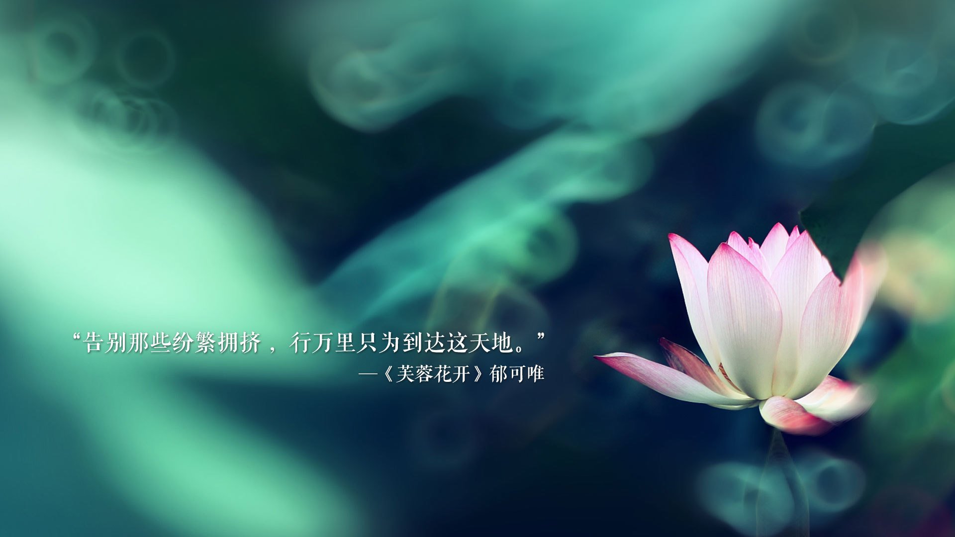 蓝白之魂穿越大洋,当梅西在非洲雄狮与东瀛武士的较量中写下唯一答案