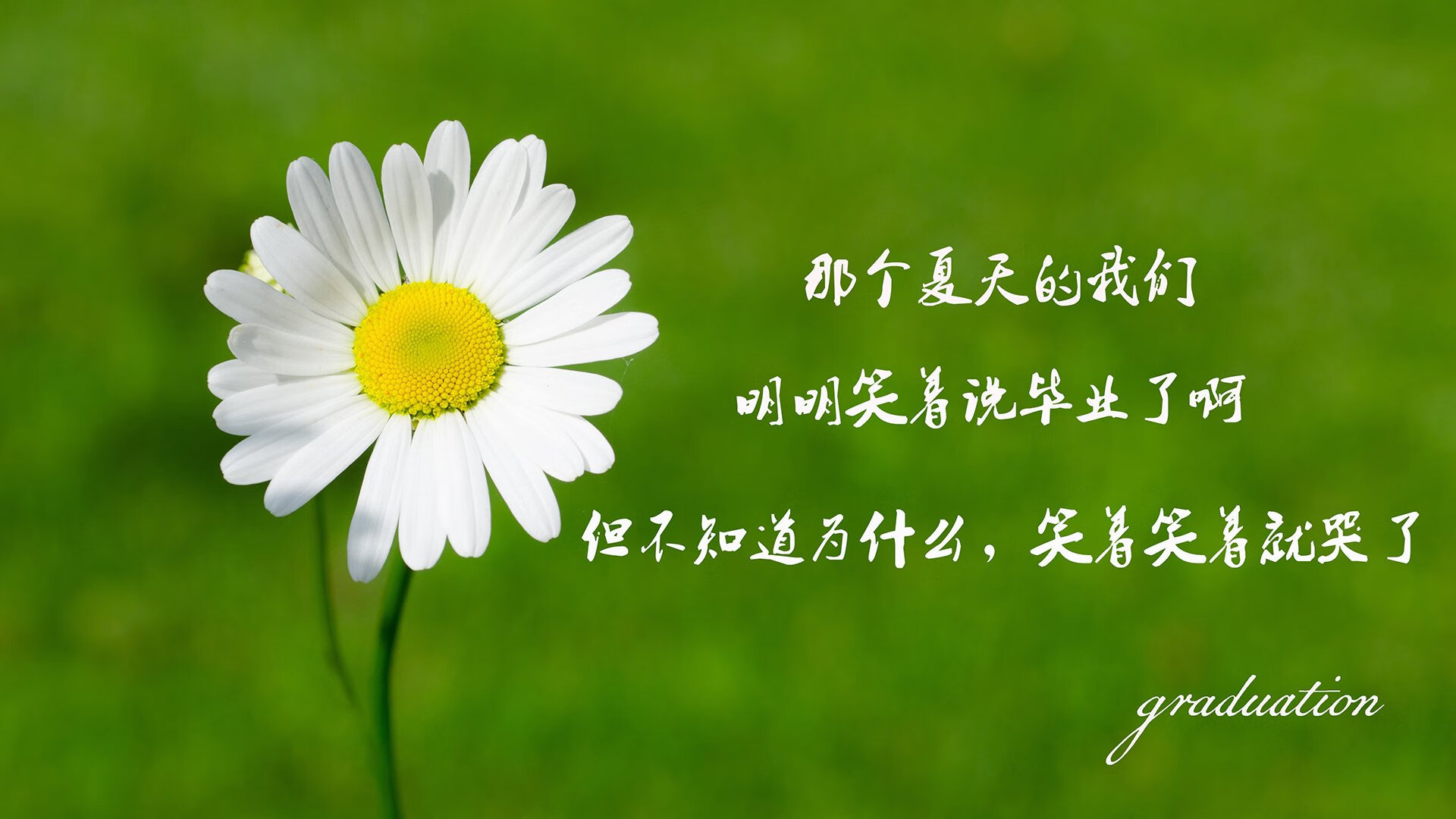 黄袍与星月交辉,2026世界杯E组死亡之组,加纳铁骑踏平泰国,格列兹曼以一人之力定义唯一
